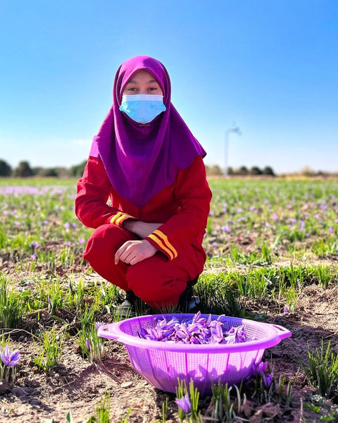 Empowering Women: The Role of Women in Herat’s Saffron Industry