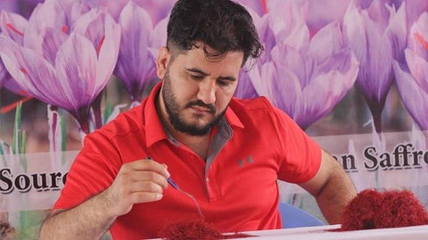 Heray Saffron Mohammad Salehi