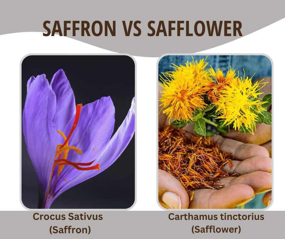 Safflower vs. Saffron: Showing The Differences and Contrasts – Heray Spice