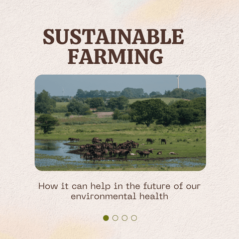 What Is Sustainability Farming? - Heray Spice