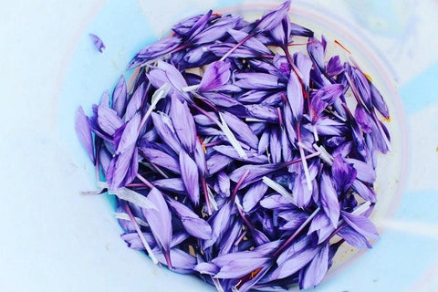 Saffron in Different Languages - Heray Spice