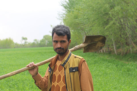 Nawruz + Farmers Update Spring 2023 - Heray Spice