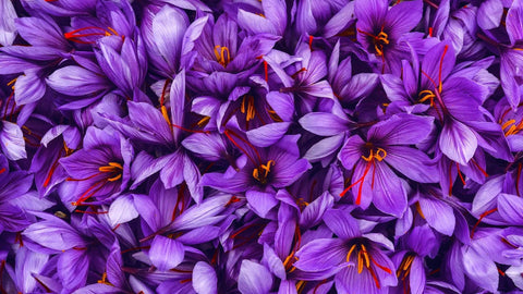 THE PRICE OF SAFFRON - Heray Spice