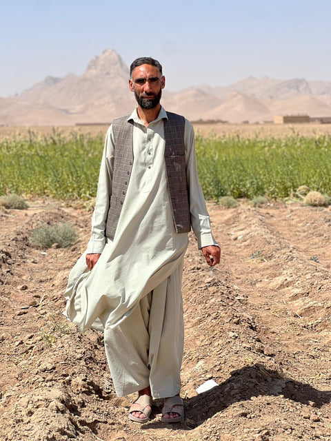 Wild Afghani Hing (Asafoetida) 100 % Pure Resin (1 Oz) 28.5 gr