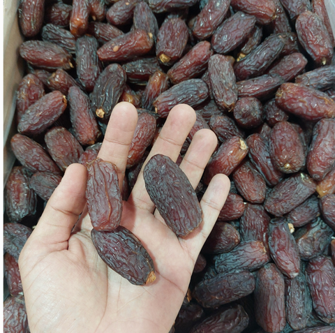 1 LB Premium Medjool Dates